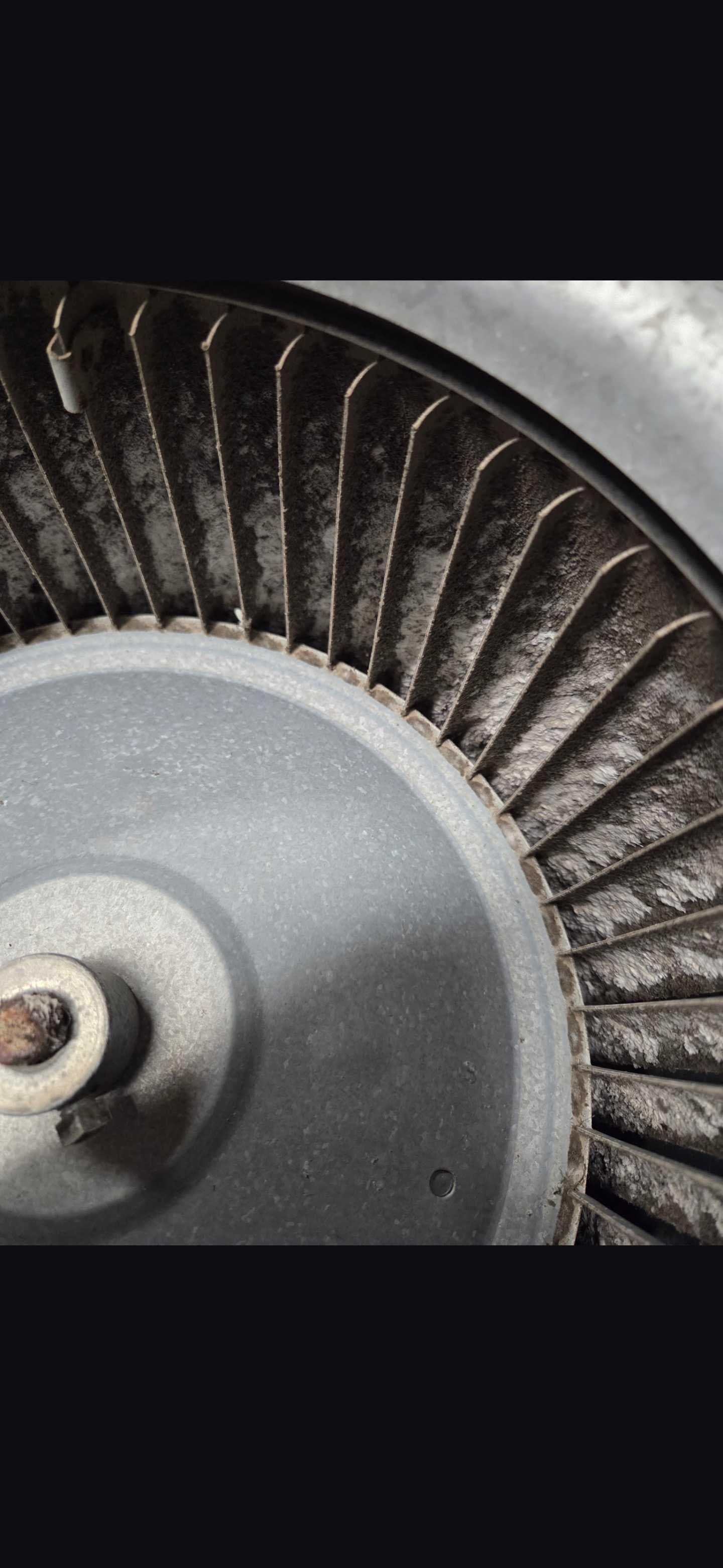 Visible buildup on the blower-wheel blades before cleaning.