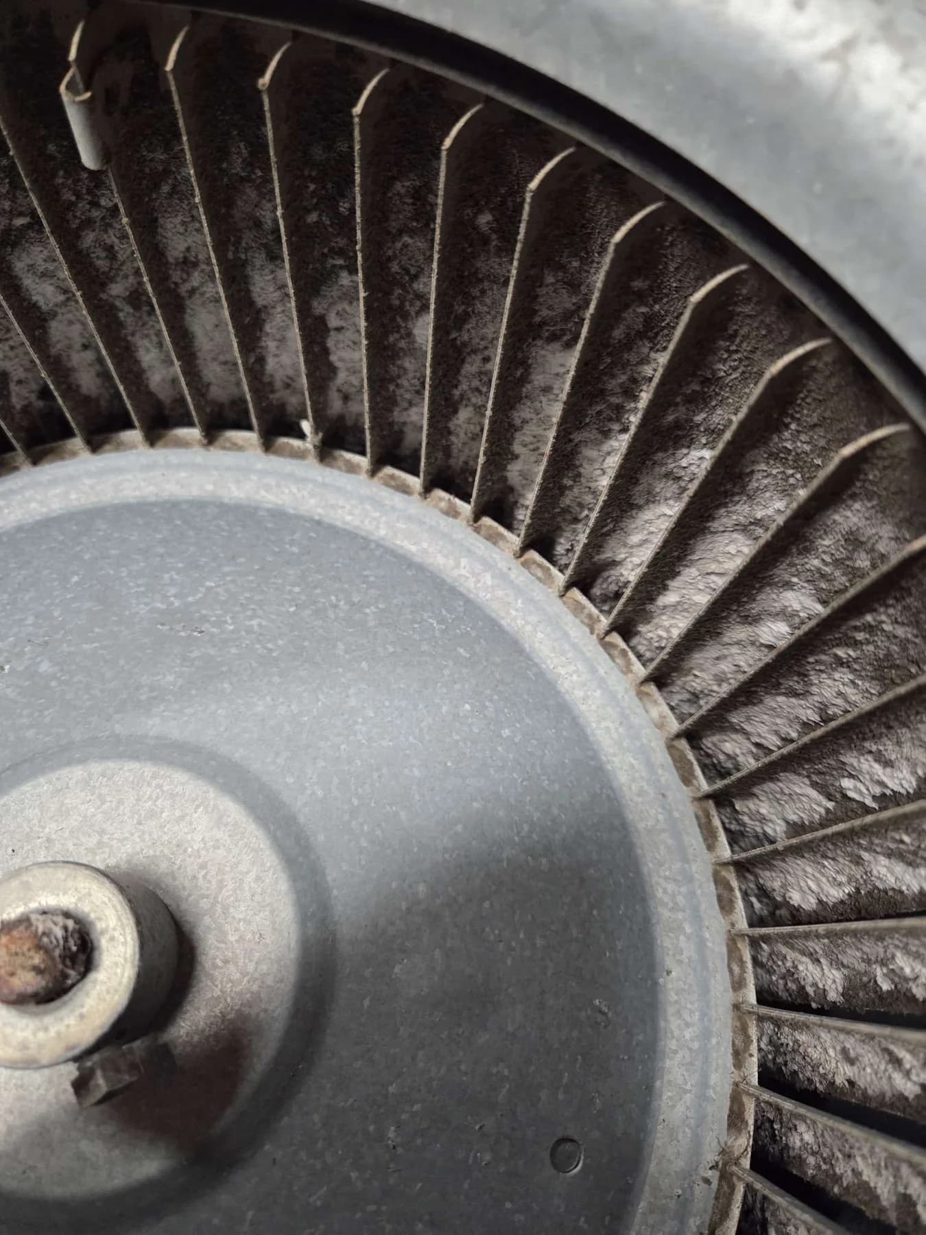 Blower-wheel buildup before cleaning on Prince’s Cleveland job